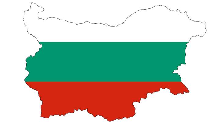 Bulgaria starts formal process to find investor for Belene project