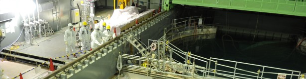 All systems ready for Fukushima fuel removal