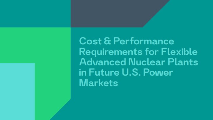 Costs key to commercialisation of advanced reactors, says LucidCatalyst