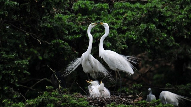 Daya Bay counts its natural blessings