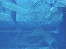 Fukushima Daiichi 3 pond inspection February 2013 a (226x170)