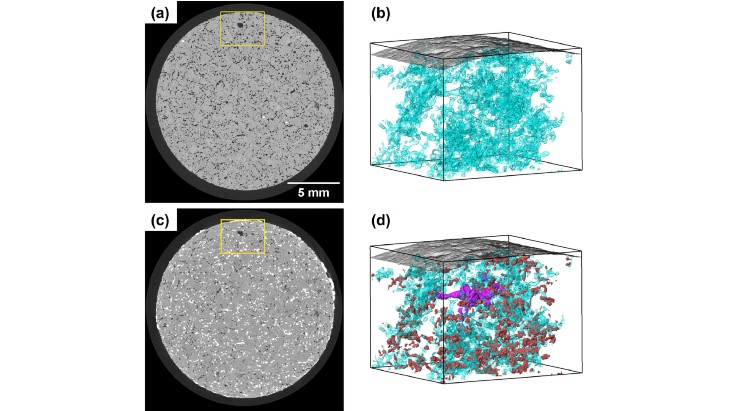 MoltexFLEX publishes research on graphite interaction with molten salt