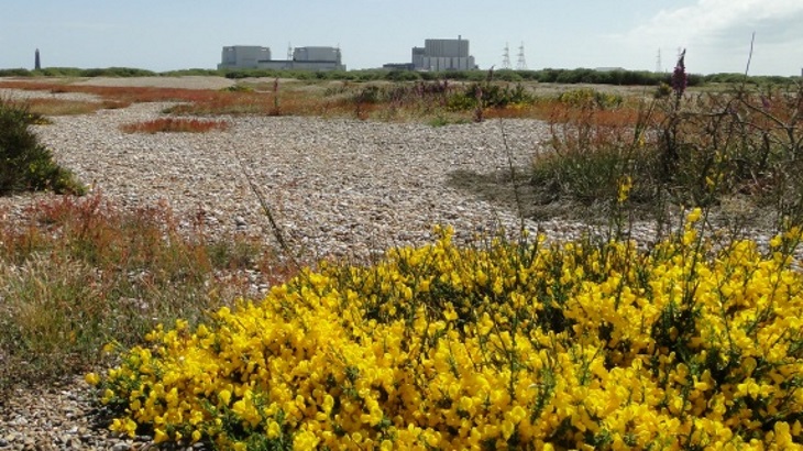 EDF Energy permanently closes UK&#39;s Dungeness B